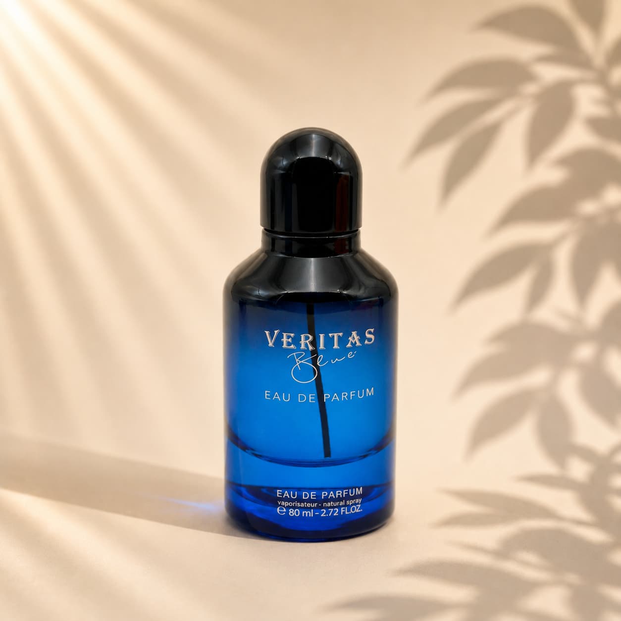 Veritas Blue Box Set